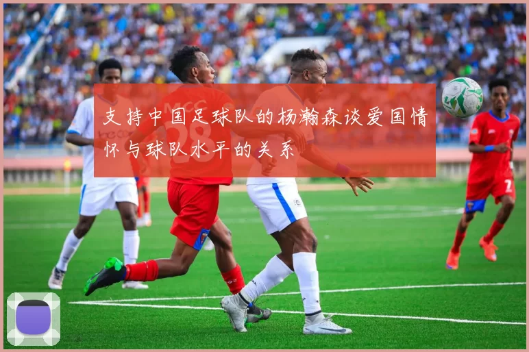 支持中国足球队的杨瀚森谈爱国情怀与球队水平的关系